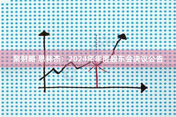 聚财略 思林杰：2024年年度股东会决议公告