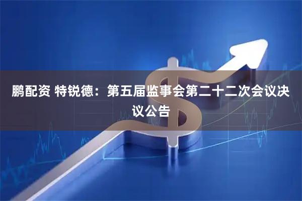 鹏配资 特锐德：第五届监事会第二十二次会议决议公告
