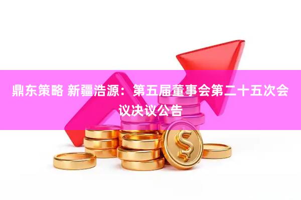 鼎东策略 新疆浩源：第五届董事会第二十五次会议决议公告