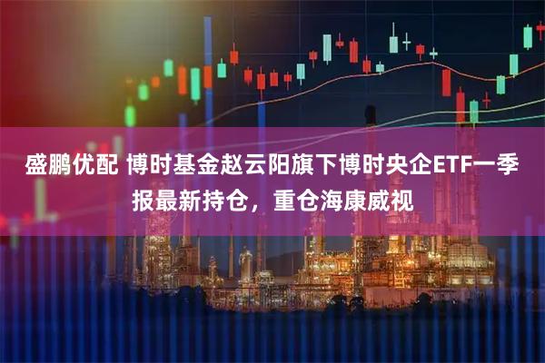 盛鹏优配 博时基金赵云阳旗下博时央企ETF一季报最新持仓，重仓海康威视