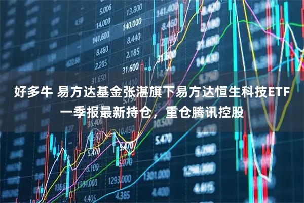 好多牛 易方达基金张湛旗下易方达恒生科技ETF一季报最新持仓，重仓腾讯控股