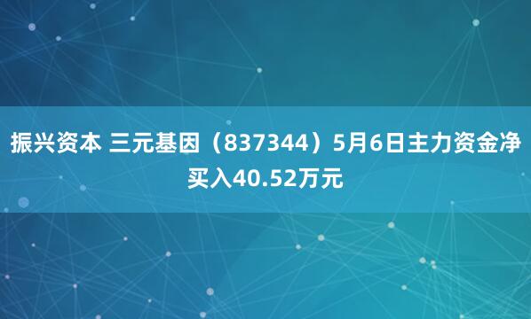 振兴资本 三元基因（837344）5月6日主力资金净买入40.52万元