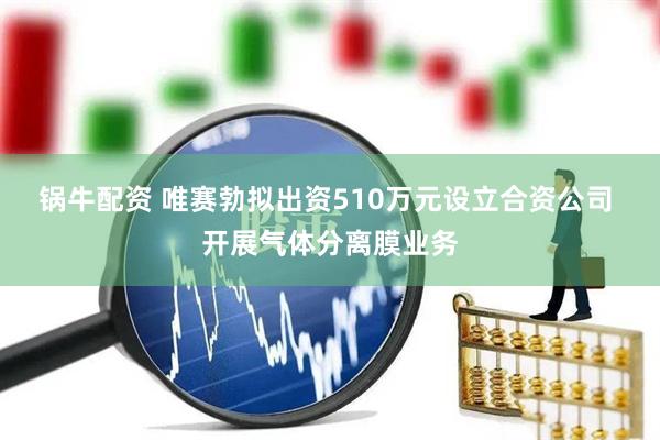 锅牛配资 唯赛勃拟出资510万元设立合资公司 开展气体分离膜业务