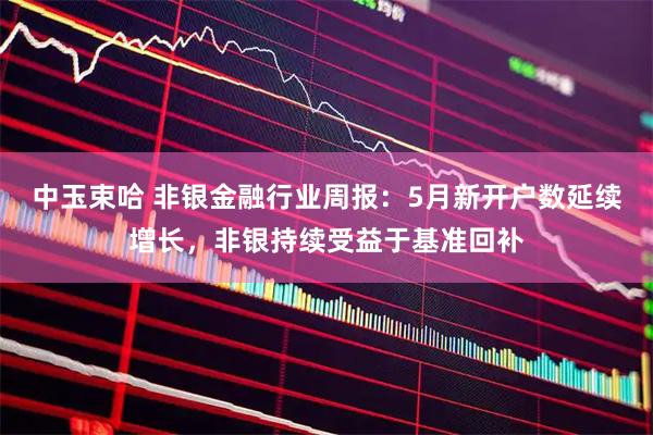 中玉束哈 非银金融行业周报：5月新开户数延续增长，非银持续受益于基准回补