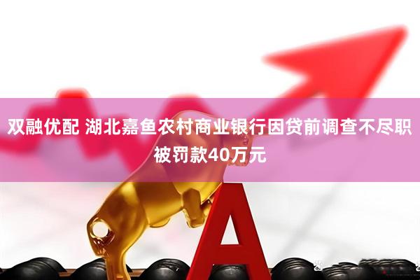 双融优配 湖北嘉鱼农村商业银行因贷前调查不尽职被罚款40万元