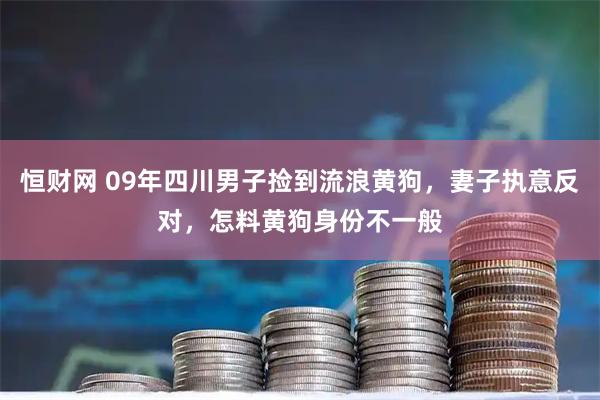 恒财网 09年四川男子捡到流浪黄狗，妻子执意反对，怎料黄狗身份不一般