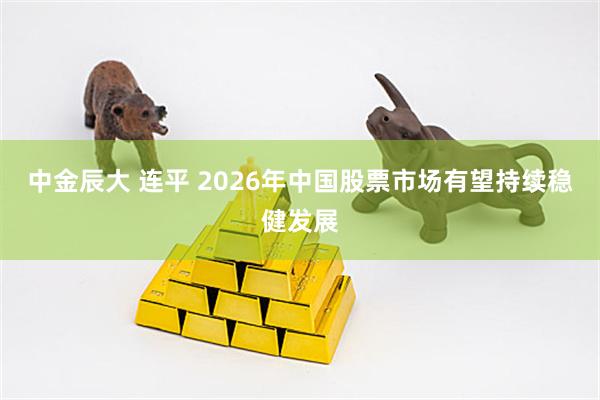 中金辰大 连平 2026年中国股票市场有望持续稳健发展