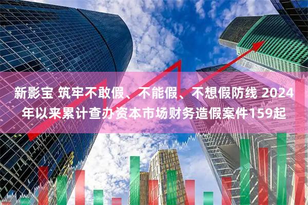 新影宝 筑牢不敢假、不能假、不想假防线 2024年以来累计查办资本市场财务造假案件159起
