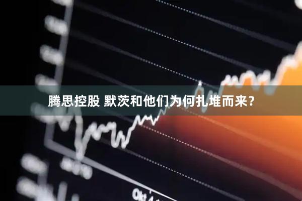腾思控股 默茨和他们为何扎堆而来？