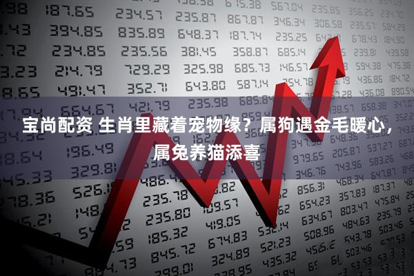 宝尚配资 生肖里藏着宠物缘？属狗遇金毛暖心，属兔养猫添喜